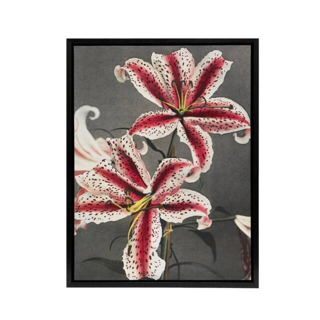 "Artery8 Pink Spotted Lily Flower Blooms Framed Canvas Wall Art Print Kazumasa - Size: W12"" x H16""" - image 1