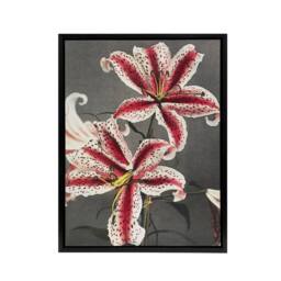 "Artery8 Pink Spotted Lily Flower Blooms Framed Canvas Wall Art Print Kazumasa - Size: W12"" x H16""" - thumbnail 1