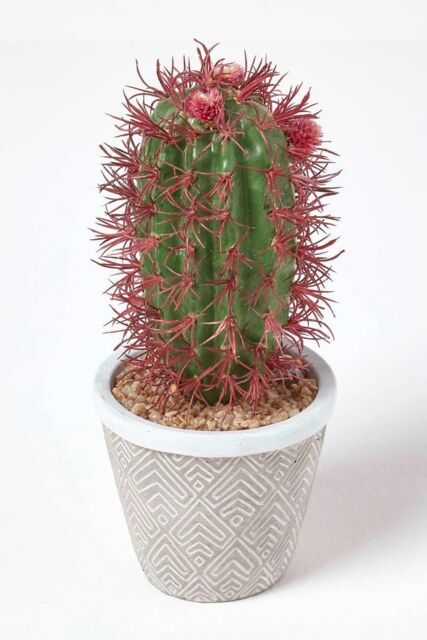 Homescapes Denmoza Artificial Cactus with Flowers in Patterned Pot, 25 cm Tall in Green - image 1