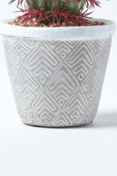 Homescapes Denmoza Artificial Cactus with Flowers in Patterned Pot, 25 cm Tall in Green - thumbnail 4