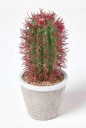 Homescapes Denmoza Artificial Cactus with Flowers in Patterned Pot, 25 cm Tall in Green - thumbnail 1