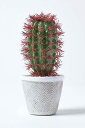 Homescapes Denmoza Artificial Cactus with Flowers in Patterned Pot, 25 cm Tall in Green - thumbnail 6