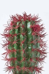 Homescapes Denmoza Artificial Cactus with Flowers in Patterned Pot, 25 cm Tall in Green - thumbnail 5