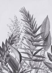 Superfresco Easy Flora & Fauna Mono Print To Order 3m x 2.8m Mural in White - thumbnail 2