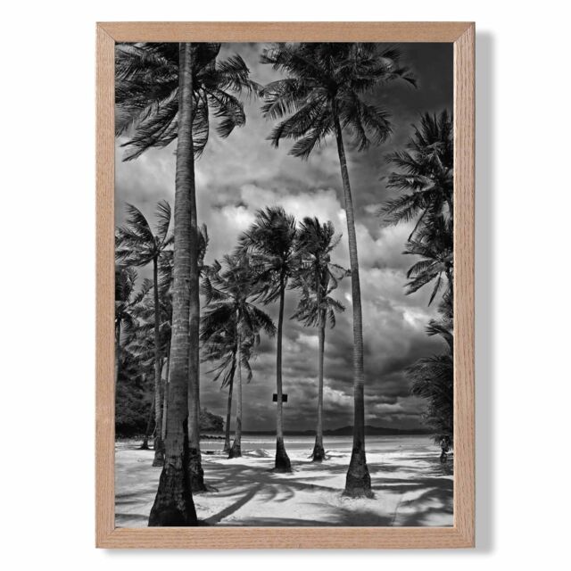 ARTZE Stormy Palm Trees Black & White Photo Framed Print SIZE: A4 with Oak Frame - image 1
