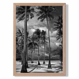 ARTZE Stormy Palm Trees Black & White Photo Framed Print SIZE: A4 with Oak Frame