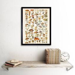 "Wee Blue Coo Millot Encyclopedia Page Mushrooms Fungus 12x16"" Framed Wall Art Print - Size: W12"" x H16""" - thumbnail 2