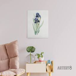 "Artery8 Bearded Iris Botanical Redoute Vintage Canvas Wall Art in White - Size: W18"" x H24""" - thumbnail 3