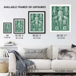 Artery8 Cubomedusae Jellyfish Species Haeckel Botanical Framed Wall Art Print in Green - Size: A4 - thumbnail 3