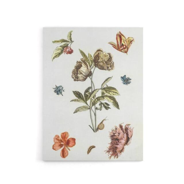 "Artery8 Flowers Snail & a Caterpillar Johan Teyler Canvas Wall Art in White - Size: W18"" x H24""" - image 1