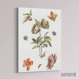 "Artery8 Flowers Snail & a Caterpillar Johan Teyler Canvas Wall Art in White - Size: W18"" x H24""" - thumbnail 2