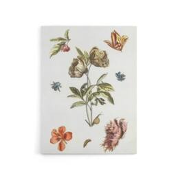 "Artery8 Flowers Snail & a Caterpillar Johan Teyler Canvas Wall Art in White - Size: W18"" x H24""" - thumbnail 1