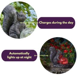 Marco Paul Resin Squirrel Solar Powered Garden Ornament with Crystal Ball 22cm - thumbnail 7