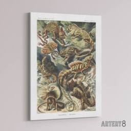 "Artery8 Lacertilia Reptile Lizard Species Haeckel Canvas Wall Art - Size: W18"" x H24""" - thumbnail 2