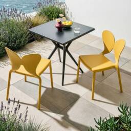 Wyld and Coco Yellow Butterfly Backrest Chairs Set 2 Stackable Polypropylene UV