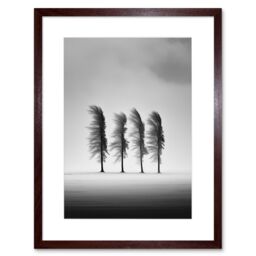 Artery8 Wall Art Print Still Holding Strong Black & White Winter Landscape Photograph Wind Blowing on a Row of Cypress Hills Artwork Framed 9X7 Inch - thumbnail 1