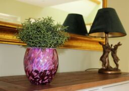 Sienna Glass Self Watering Plant Pot Pink & Purple