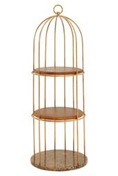 Orsina Spacious Small Cage Design Bookshelf, Durable Bird Cage Design Book Storage Shelf, Stylish Tall Book Shelf in Gold - thumbnail 1