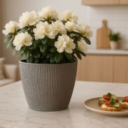 Gr8 Garden Set Of 4 Grey Sumela Knitted Flower Plant Pot - thumbnail 6