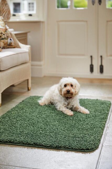 My Mat 'Buddy' Rug in Green - Size: 67 cm x 300 cm - image 1