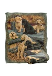 JQ Licensing Rle Labrador Pups Silky Touch Super Soft Throw Blanket 152 X 127 cm in White - thumbnail 2