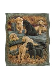 JQ Licensing Rle Labrador Pups Silky Touch Super Soft Throw Blanket 152 X 127 cm in White - thumbnail 1