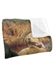 JQ Licensing Rle Labrador Pups Silky Touch Super Soft Throw Blanket 152 X 127 cm in White - thumbnail 3