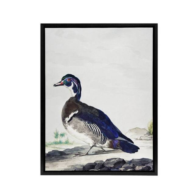 "Artery8 Wood Duck Vintage Bird Oil Painting Schouman Framed Canvas Wall Art in White - Size: W12"" x H16""" - image 1