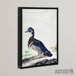 "Artery8 Wood Duck Vintage Bird Oil Painting Schouman Framed Canvas Wall Art in White - Size: W12"" x H16""" - thumbnail 2
