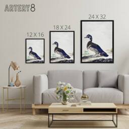 "Artery8 Wood Duck Vintage Bird Oil Painting Schouman Framed Canvas Wall Art in White - Size: W12"" x H16""" - thumbnail 4