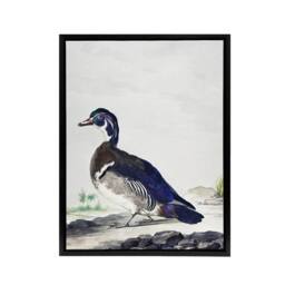 "Artery8 Wood Duck Vintage Bird Oil Painting Schouman Framed Canvas Wall Art in White - Size: W12"" x H16""" - thumbnail 1