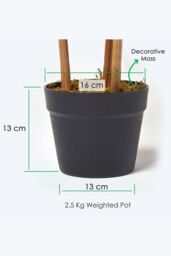 Homescapes Luxury 3ft Bamboo Tree Artificial Plant, Real Stem, Black Pot, 95cm in Green - thumbnail 3