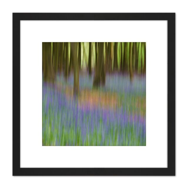 Artery8 Colin Bluebells Beech Trees Impressionist 8X8 Inch Square Wooden Framed Wall Art Print Picture with Mount in Black - image 1