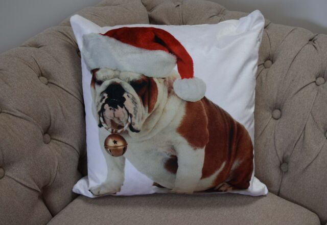 Rapport Home Bulldog Bouble Polyester Cushion Cover (43x43) Multicolor - Size: 43 cm x 43 cm - image 1
