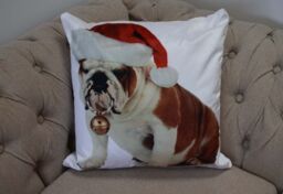 Rapport Home Bulldog Bouble Polyester Cushion Cover (43x43) Multicolor - Size: 43 cm x 43 cm - thumbnail 1