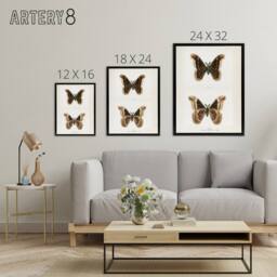 "Artery8 Promethea Silkmoth Male Sherman Denton Framed Canvas Wall Art Print in White - Size: W12"" x H16""" - thumbnail 4
