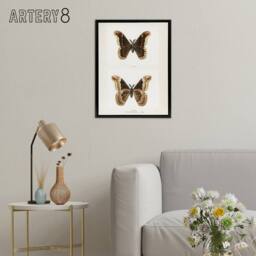 "Artery8 Promethea Silkmoth Male Sherman Denton Framed Canvas Wall Art Print in White - Size: W12"" x H16""" - thumbnail 3