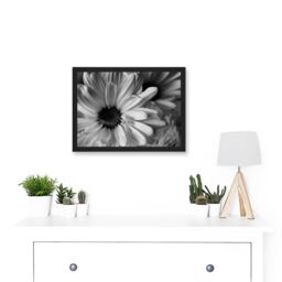 Artery8 Black White Daisy Flower Petals A4 Artwork Framed Wall Art Print - thumbnail 2