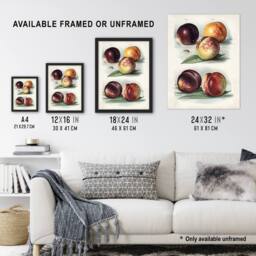 "Artery8 Vintage Fruit Illustration Peach Varieties Wright Wall Art Print in White - Size: W12"" x H16""" - thumbnail 3
