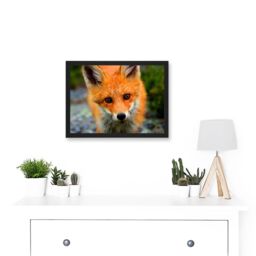 Artery8 Baby Red Fox Portrait Woodland A4 Artwork Framed Wall Art Print in Black - thumbnail 2