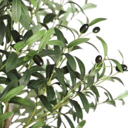 Dprodo Faux Olive Tree with Planter Natural Olive Branches in Green - Size: 1 Pack - thumbnail 2