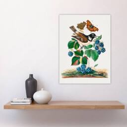 "Artery8 Bramble Rubus Starling & Butterflies Bolton Wall Art Poster Print - Size: W12"" x H16""" - thumbnail 4
