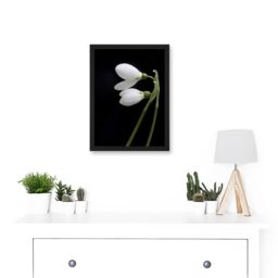 Artery8 Snowdrops Spring Flowers Bloom White Black A4 Artwork Framed Wall Art Print - thumbnail 2
