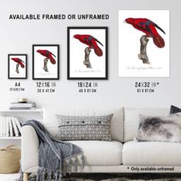 "Artery8 The Blue Fringed Red Lori Parrot Levaillant Wall Art Poster Print in White - Size: W12"" x H16""" - thumbnail 3