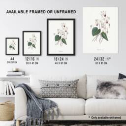 Artery8 Cyclamen Floral Illustration Redoute Vintage Framed Wall Art Print in White - Size: A4 - thumbnail 3