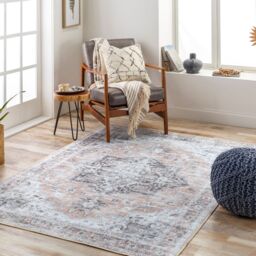 Livabliss Tahmis Wahshable Beige Charcoal Grey Traditional Vintage Boho Living Dining Rug - Size: 80 cm x 240 cm - thumbnail 8