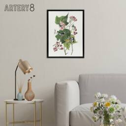 "Artery8 Black & Yellow Warblers Audubon Nature Black Framed Canvas Wall Art in White - Size: W12"" x H16""" - thumbnail 3