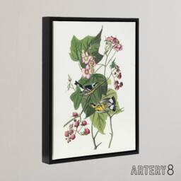 "Artery8 Black & Yellow Warblers Audubon Nature Black Framed Canvas Wall Art in White - Size: W12"" x H16""" - thumbnail 2