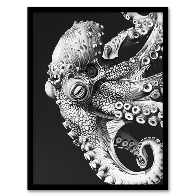 "Artery8 Octopus Black White Drawing Ernst Haeckel Style Framed Art Print in Grey - Size: W12"" x H16""" - image 1