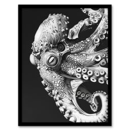 "Artery8 Octopus Black White Drawing Ernst Haeckel Style Framed Art Print in Grey - Size: W12"" x H16""" - thumbnail 1